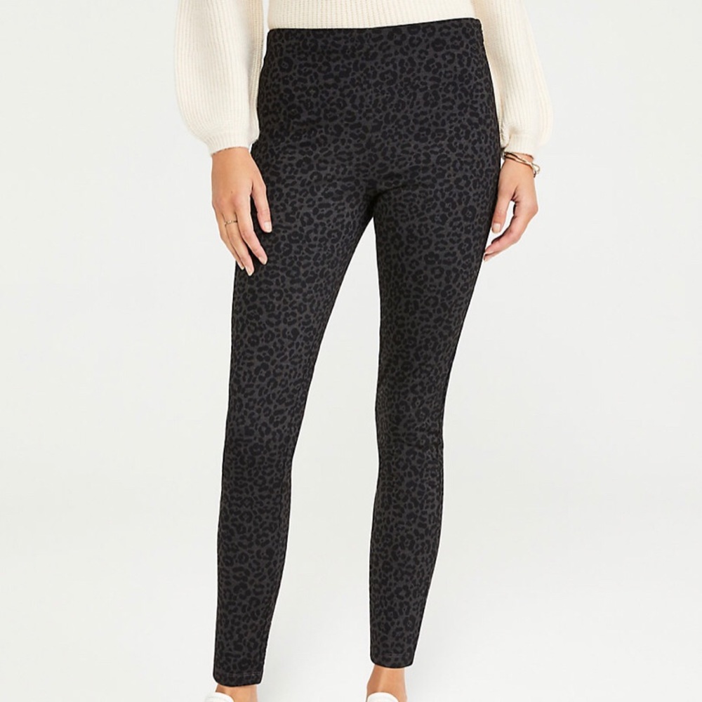 Ann Taylor NWOT Animal Leopard Print Seamed Pants